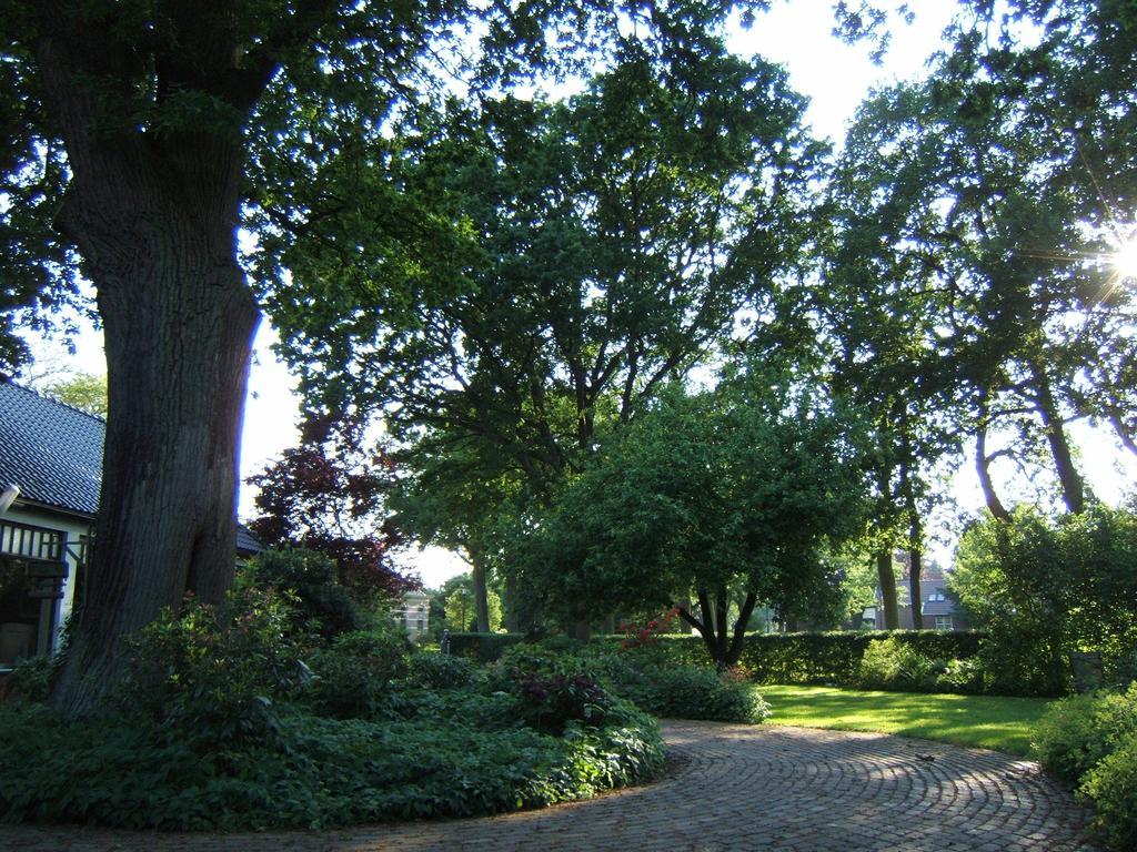 B&B"De Hassehof" Sellingen Luaran gambar
